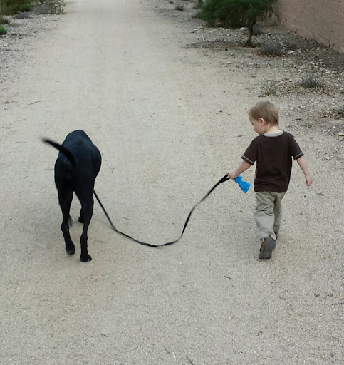 Simonson Veterinary Services - Visual