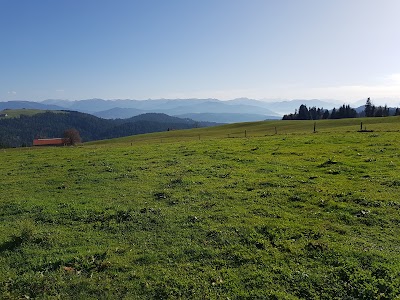 Photos of Hochberg