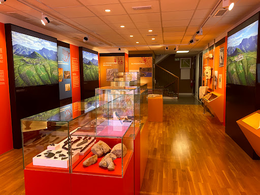 Colección museografica de Cártama
