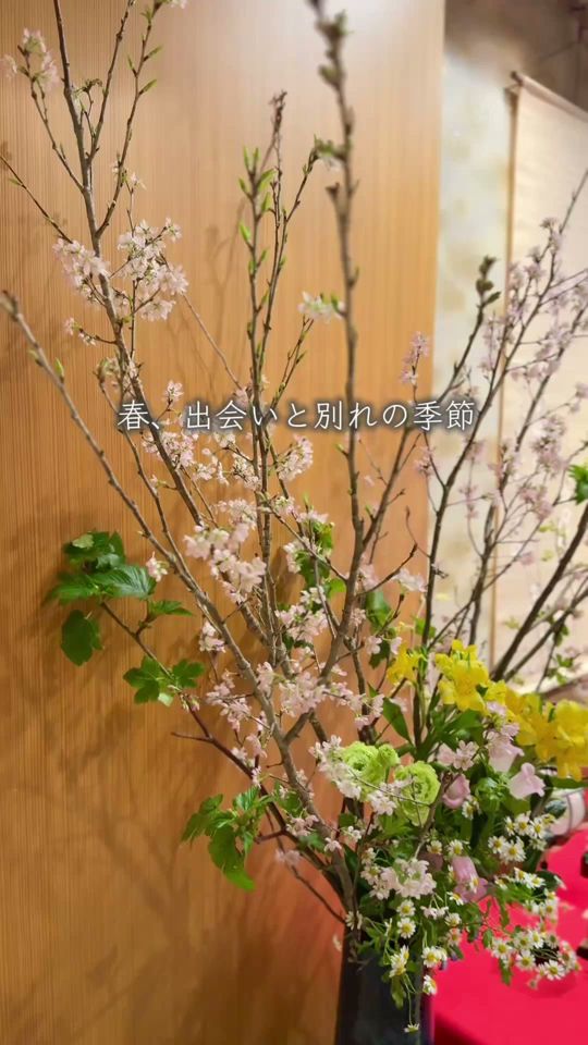 梅の花 水戸店