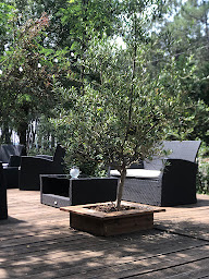 Photo n°9 de Le Saut Du Loup à Rosières (Terrain de camping)