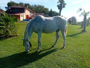 Photo n°5 de Gites Noa dans le Gers à Panjas (Gîte)