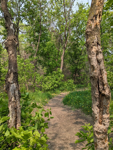 School Knoll Park - Thumbnail