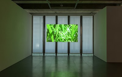 Photos of Edouard Malingue Gallery