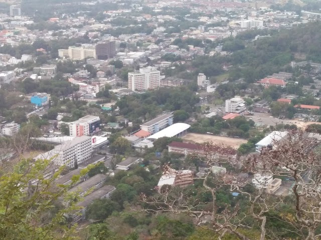 Monkey Hill Viewpoint