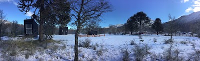 Photos of Araucan&iacute;a Pura