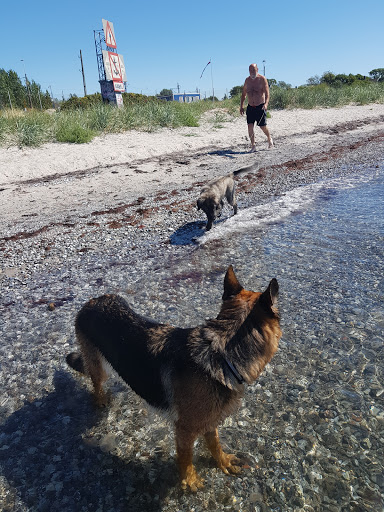 Hundbadplats Trelleborg - Thumbnail