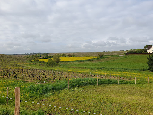 Photo de Le Panoramic Hôtel à Sancerre (18300)