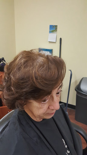 Midpoint Salon - Visual