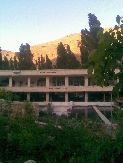 Photos of Beyazsu Murat Alabalık Restaurant