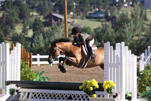 Diamond W Equine
