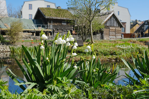 Blekingegården - Visual