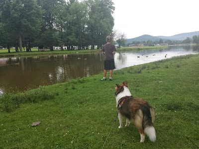Photos of Hamlin Lake Park