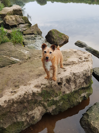 Waghorn Walkies - Thumbnail