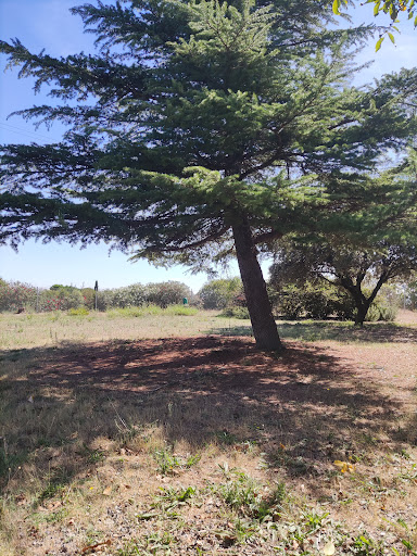 Zona aire libre - Thumbnail