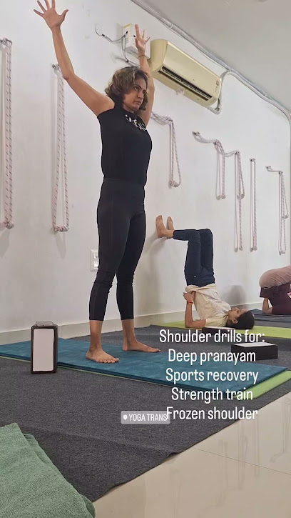 Yoga Trans- Since 2013, Sec-21 by Shveta Sharma (Offline & Online classes)