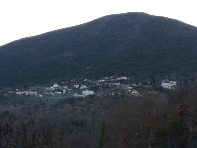 Aristi