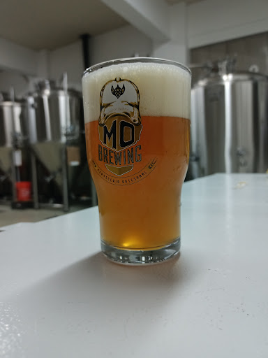 Mo Brewing - Visual