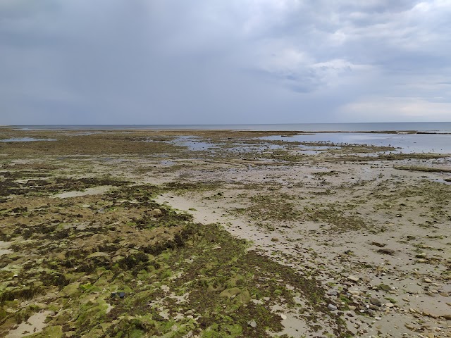 Bar Aux Frères de la Côte