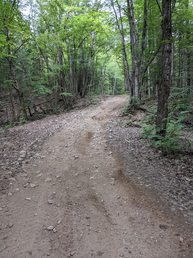 Montée de Quarante - Visual