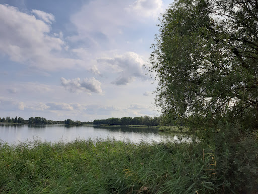 Wulfener Bruch und Teichgebiet Osternienburg