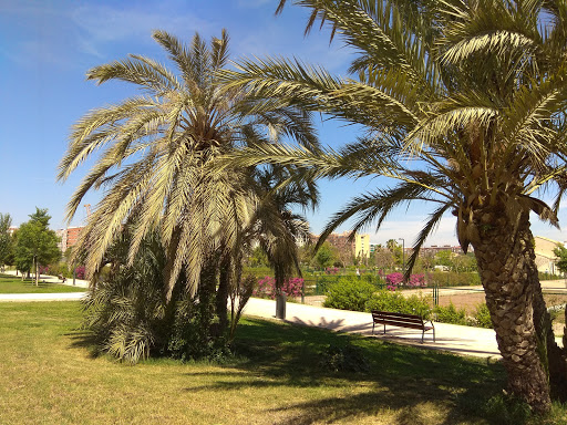 Parc urbà de Malilla - Thumbnail