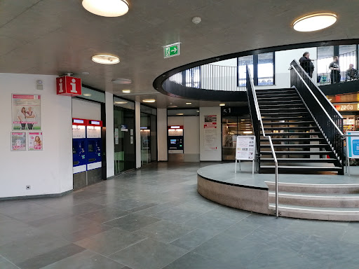 Hameln - Visual