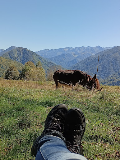 Au Tempo des Ânes - médiation animale - Thumbnail