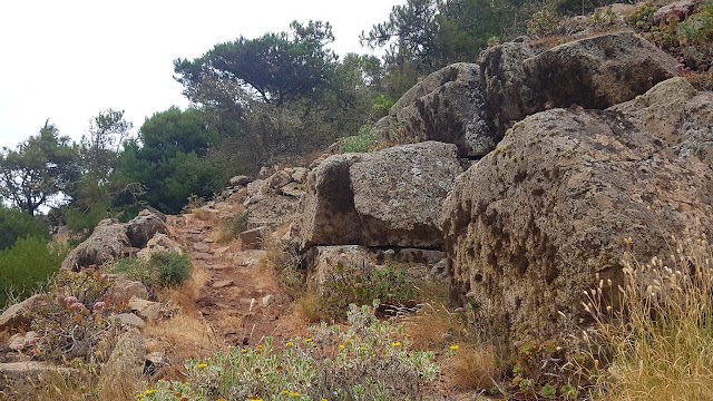 Mirador de El Risco de Famara - Parque El Bosquecillo