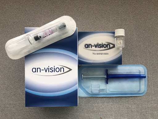 an-vision - Visual