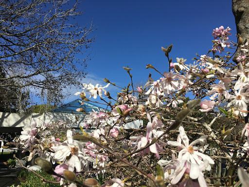 AUT South Campus - Thumbnail