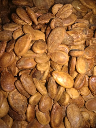 Photos of محمص الفجيره المشيرفه