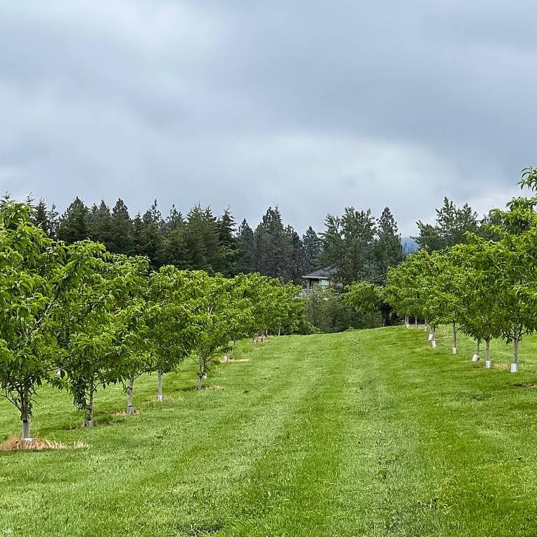 Kuipers Family Fruit Farm Fruit Orchard in Kelowna, BC