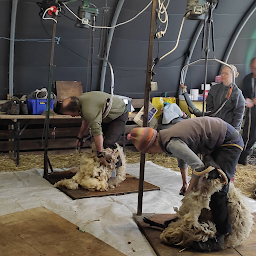 Photo n°13 de Les Sauges Bergères à Herbeys (Ferme d'élevage)
