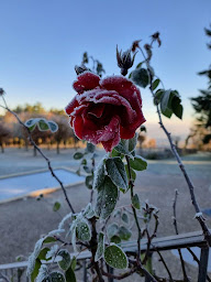 Photo n°29 de Domaine La Garenne à Reilhaguet (Chambre d'hôtes)