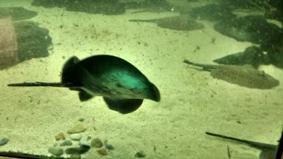 Photos of Recreational Park and Zoo Piscilago Colsubsidio