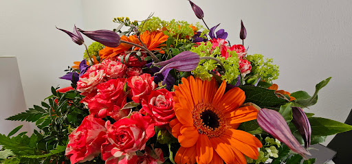 Blumen Zander - Thumbnail