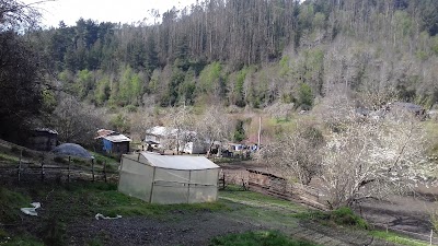 Photos of Ilustre Municipalidad de Pur&eacute;n