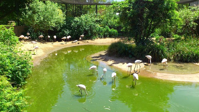 Bristol Zoo Gardens