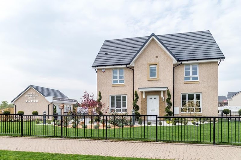 Barratt Homes - Barratt @ Torrance Park photo 3
