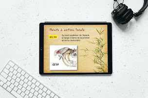 Photo n°7 de Formations en ligne d'Acupuncture, méthode Acu-AnMo à Auch (Acupuncteur)