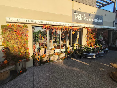 Pétales d'émotion