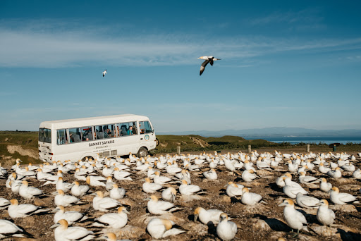 Gannet Safaris Overland Ltd