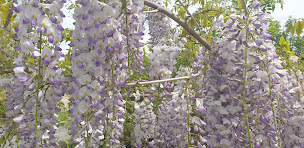 Photo n°15 de La Peupleraie à Bray-sur-Seine (Terrain de camping)