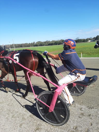 Northside Downs - Visual