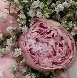 Photo n°17 de FLEURISTE 