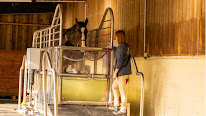 Equi bains à Varennes-Jarcy
