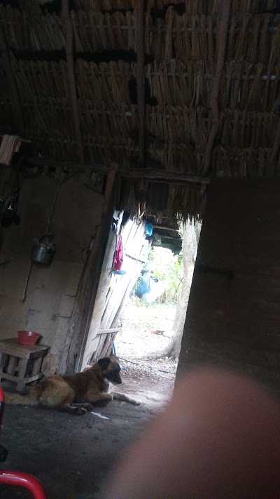 Photos of restaurant- elpaso