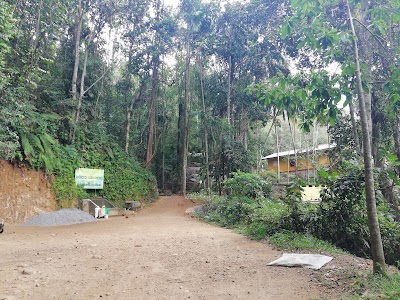 Photos of Bodhinagala Forest Reserve (Dombagaskanda)