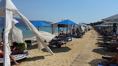 Photos of Island Beach Bar